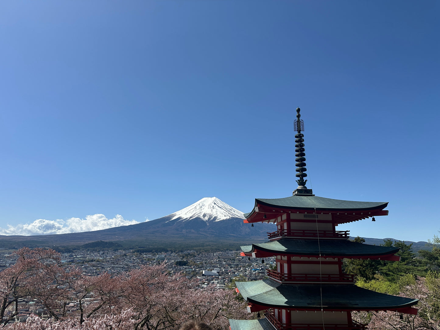 Mt. Fuji Drive Tour (Includes Visit to Fuji Speedway)