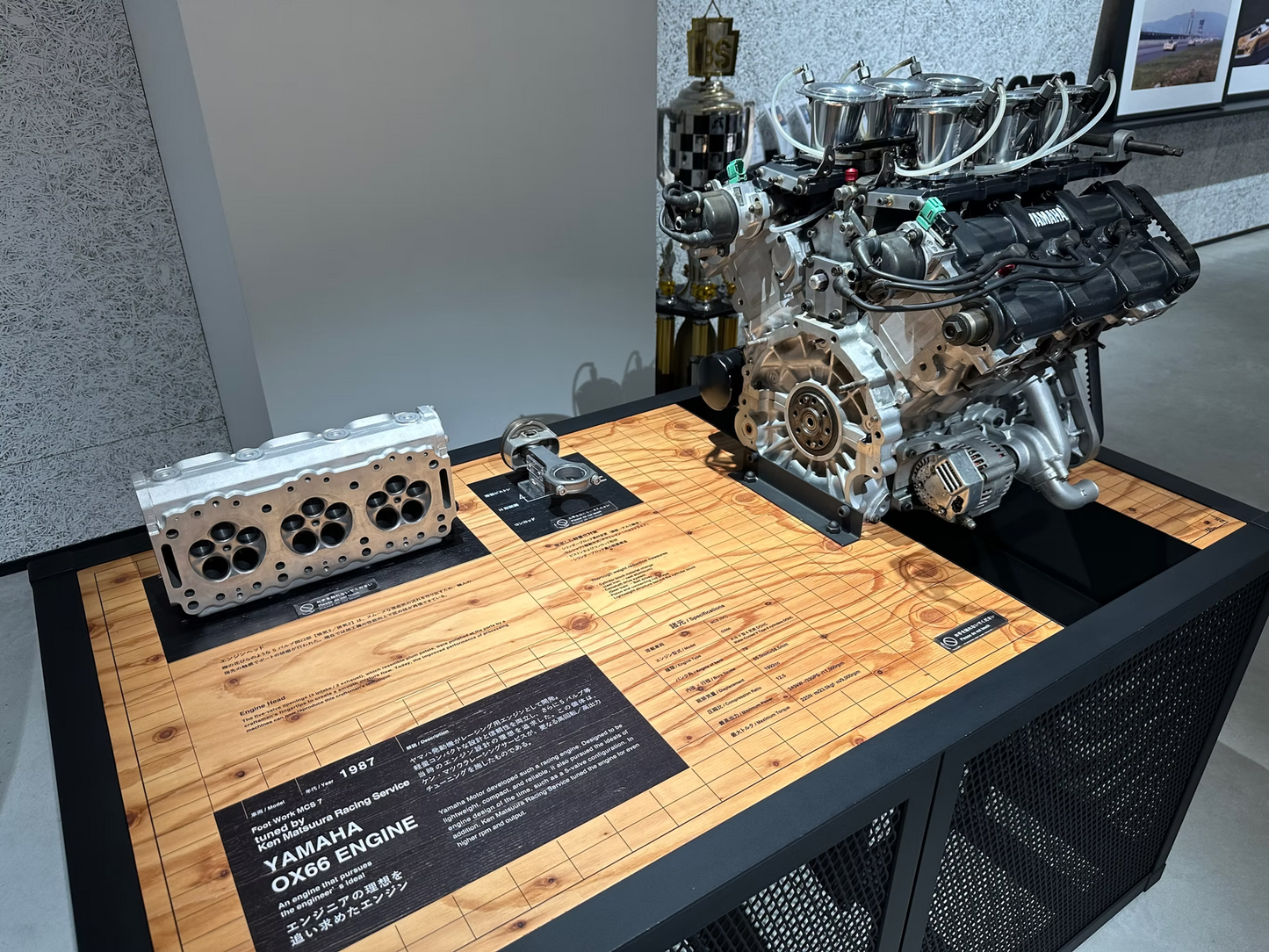 Fuji Speedway Self Drive & Mt. Fuji Tour