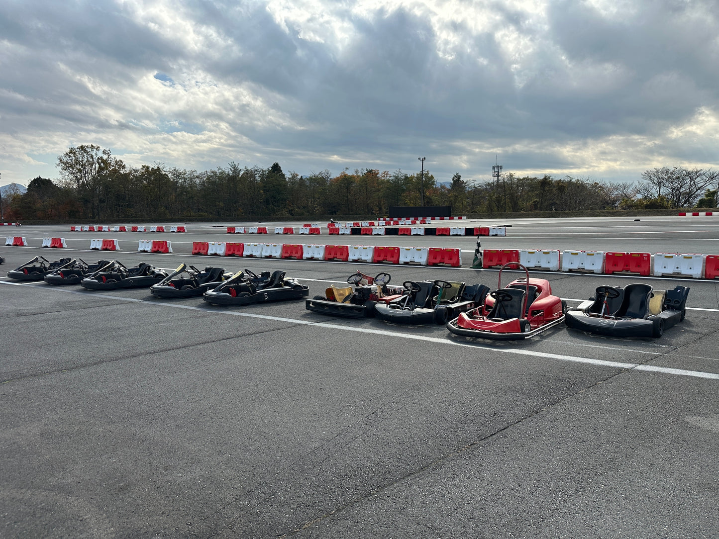 Mt. Fuji Drive Tour (Includes Visit to Fuji Speedway)